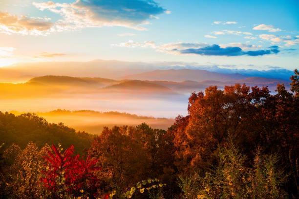 Dog Friendly, Romantic Mtn Getaway Hot Tub Pool Гатлинбург Экстерьер фото